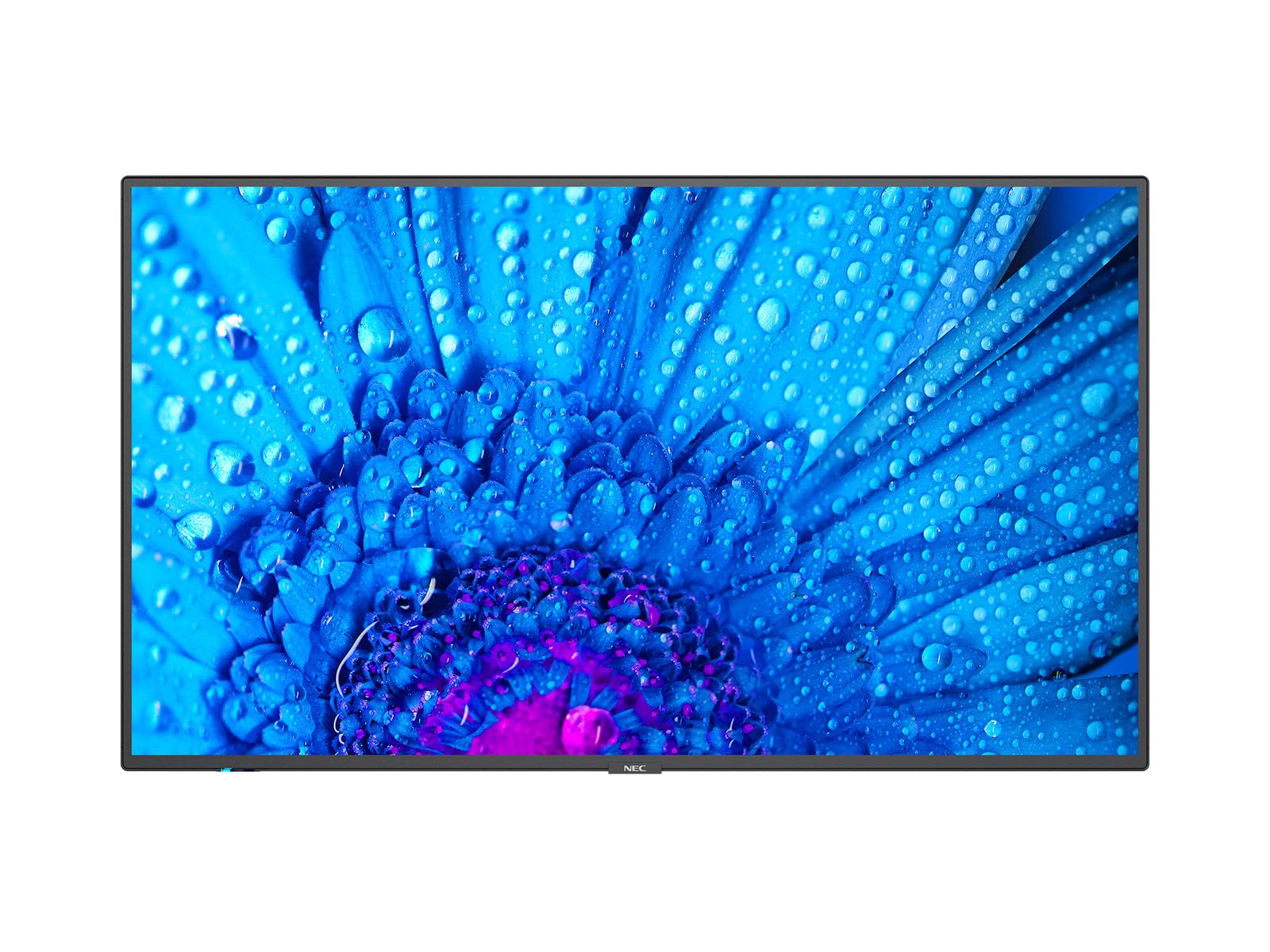 Amazon.com: NEC MultiSync M431 Digital Signage Flat Panel 109.2 cm